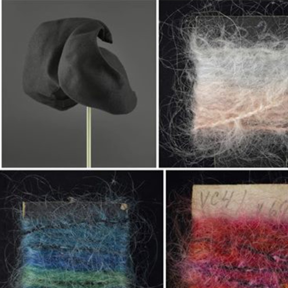 Meet your Posher, Sasha